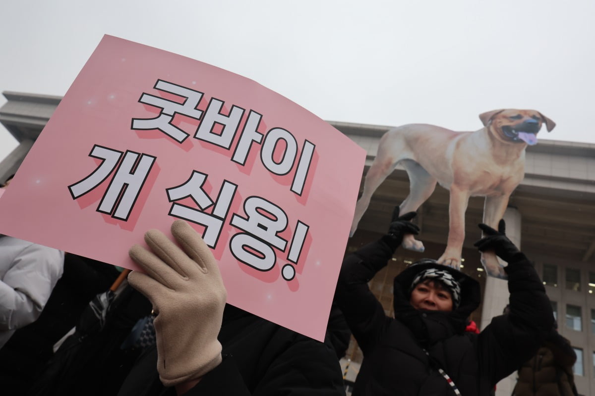  개 식용 종식을 위한 국민행동 활동가들이 9일 서울 여의도 국회 본관 계단 앞에서 개식용 종식 특별법 제정 환영 기자회견을 하고 있다.  / 사진=뉴스1