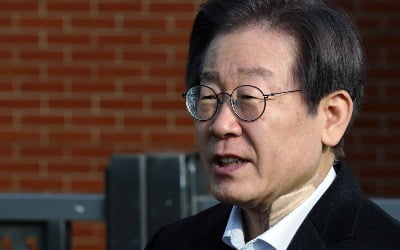 野 "정치테러, 단순 사건으로 축소…이재명 피습 재조사하라"