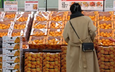 귤값 왜이러나…과일 가격 폭등에 생산자물가 두달 연속 상승