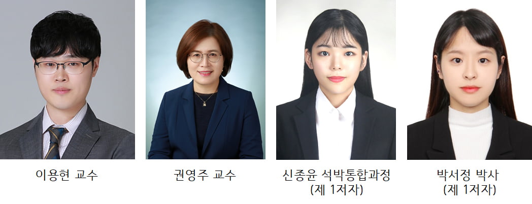 이화여대 연구팀, 난치성 간섬유화 치료법 개발 