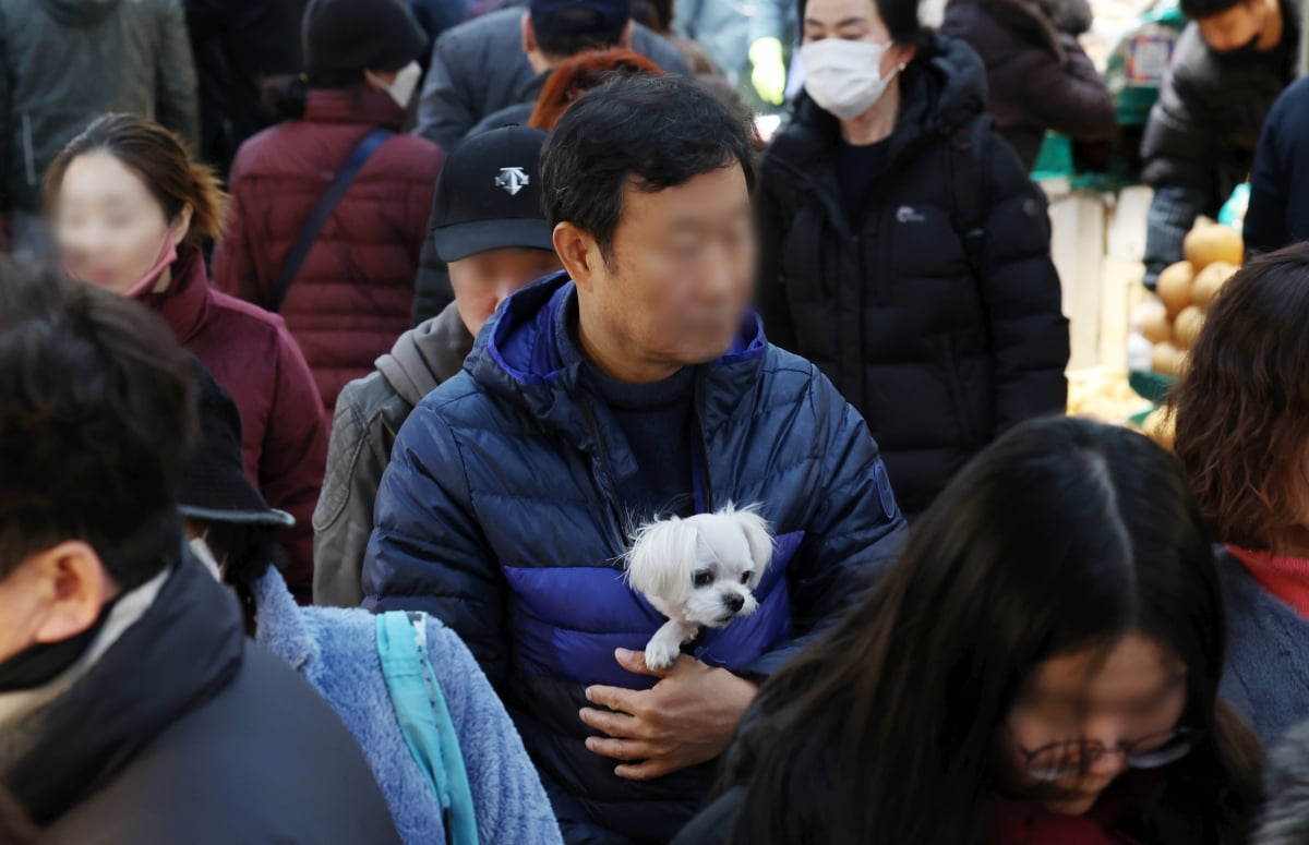 [포토] 설 앞둔 재래카지노 미국