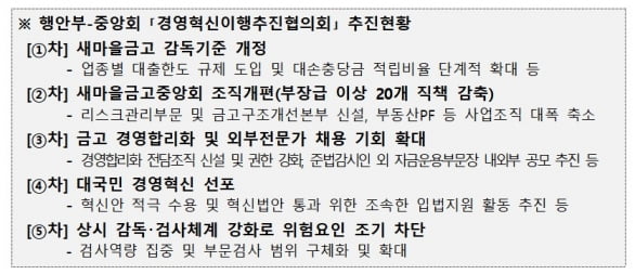 행정안전부와 새마을금고중앙회의 '경영혁신이행추진협의회' 추진 현황 관련 자료. /자료=행안부