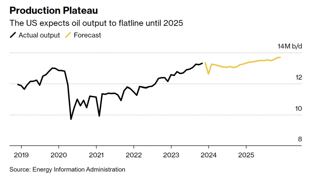 2025년 미국 일 석유 생산량 예상치(자료=미국 에너지정보청, 블룸버그)