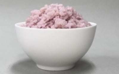 세계 최초 '소고기 쌀' 개발…한국 연구진 일냈다