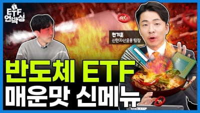 반도체 ETF '매운맛 신메뉴'…전공정·후공정만 골라 투자하기 [ETF 언박싱]