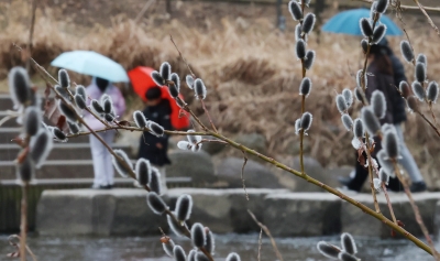  살며시 찾아온 봄