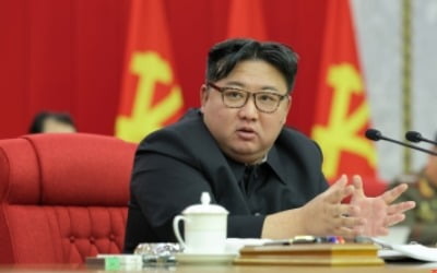"北 김정은, 숨겨둔 장남 있어" 충격 보도…비공개 이유는