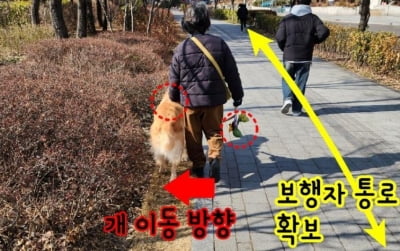 "이런 견주와 개 처음 봅니다"…'산책 매너'에 감탄한 사연