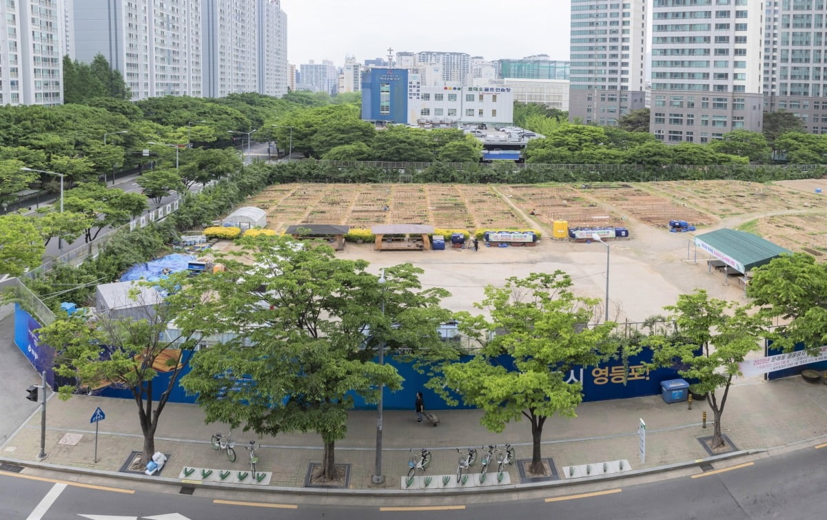 문래동 공공부지 텃밭 전경. / 사진=영등포구 제공