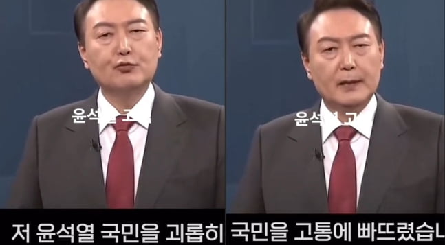 윤석열 대통령 딥페이크 영상물. /출처=틱톡