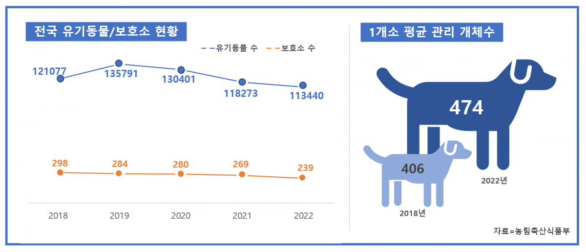 2017년 전국 유기동물 수가 첫 10만마리를 돌파한 이후 5년째 11~13만마리 선을 유지 중이다. 보호소 1개소 당 평균 관리 개체수는 2018년 406마리에서 2022년 474마리로 늘었다. /그래픽=김수영 기자