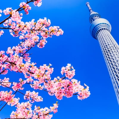 일본 도쿄 부동산 투자, 핵심 5구 탐방으로 실전 노하우 습득