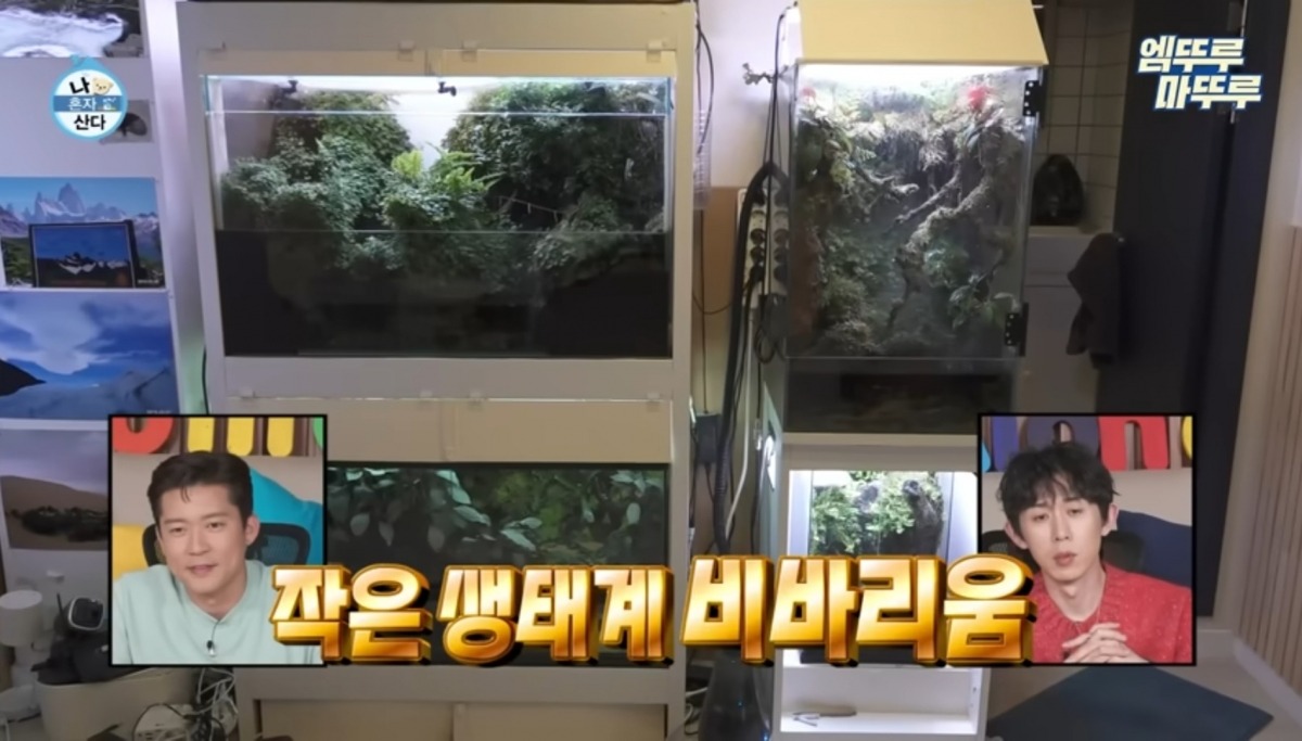 MBC '나 혼자 산다'에 등장한 비바리움. /사진=유튜브 '엠뚜루마뚜루' 캡처