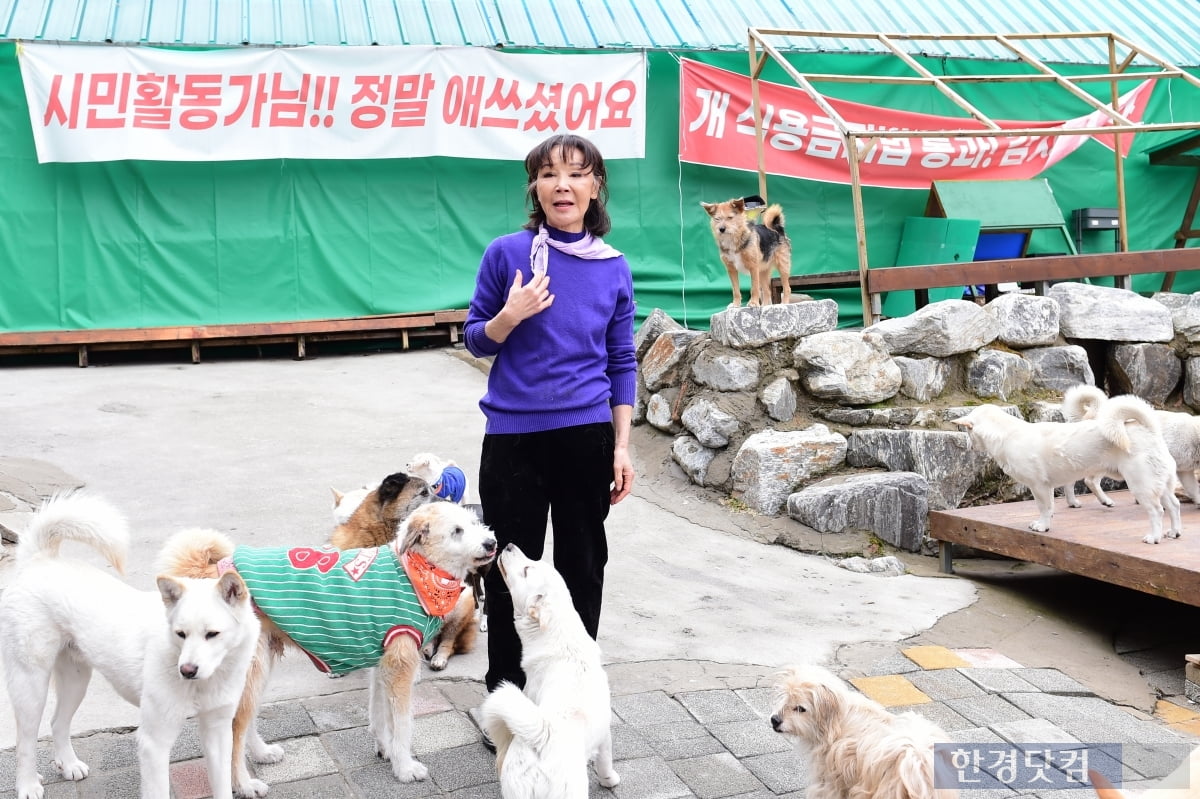 반려가구 500만 시대의 그늘…매년 10만마리 버려진다 [슬기로운 반려생활 ⑤]