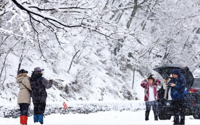 [포토] 강원영동 대설주의보