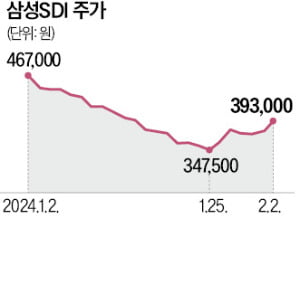 '떨어지는 칼날'은 잡지 말라는데…2차전지주 쓸어담은 개미