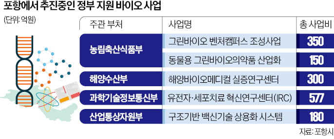 철강도시 포항, 2100억 들여 바이오헬스 육성