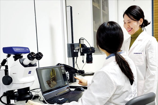 대전 유성구 한국생명공학연구원 연구실에서 김세주 박사(오른쪽)가 따개비 접착 부위를 현미경으로 관찰하며 논의하고 있다. /생명연 제공 