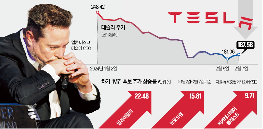 "테슬라, M7서 빠져야…새로운 거인은 릴리·브로드컴"