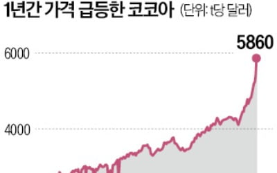 2배 뛴 코코아값…씁쓸한 밸런타인데이