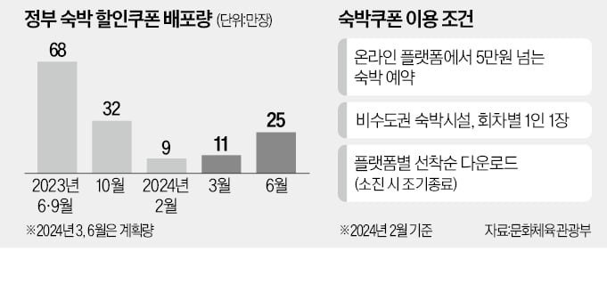 정부 쿠폰, 대형 플랫폼 우위? 소형 업체들의 위기