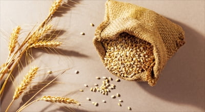  옥석을 가리다 'separate the wheat from the chaff'