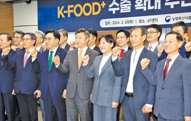 송미령 농림축산식품부 장관(앞줄 오른쪽 세 번째)이 20일 서울 양재동 aT센터에서 열린 ‘K푸드+ 수출확대 추진본부’ 간담회에서 기념 촬영하고 있다. 농식품부 제공 