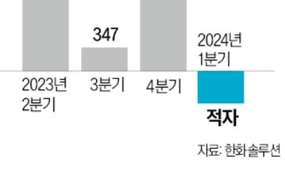 美 태양광 모듈 공급 과잉에…한화솔루션 "1분기 적자날 것"