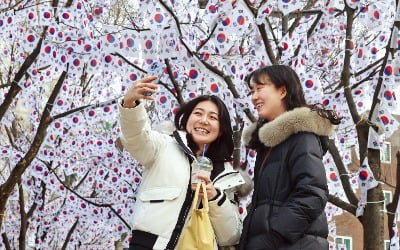 [포토] 3·1절 앞둔 효창공원…“태극기 꽃이 피었습니다”