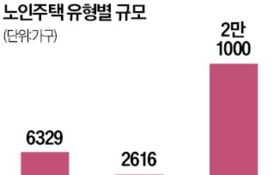 노인 인구는 느는데…3만가구도 못 미치는 '노인 맞춤 주택'