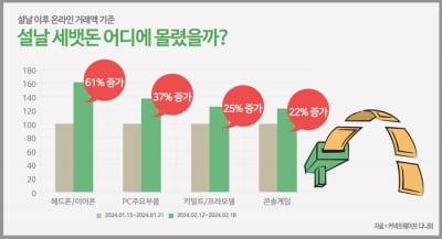 "우리딸, 세뱃돈으로 '에어팟' 샀구나?" 프로 2, 설 직후 판매량 370%↑