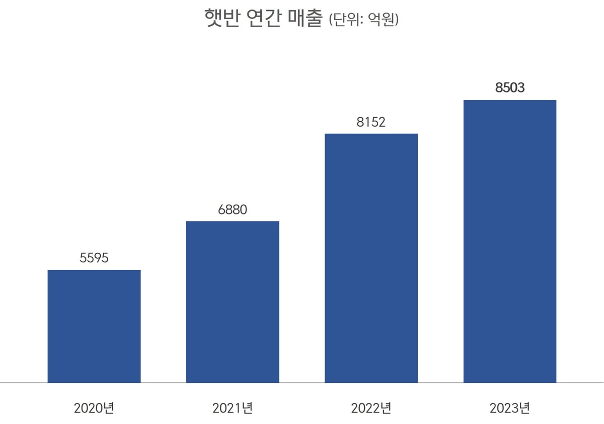 햇반 "쿠팡 없어도 잘팔려"...매출 역대 최대