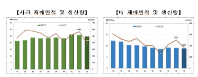 사과 10개에 3만원...오렌지 망고로 눈돌린다