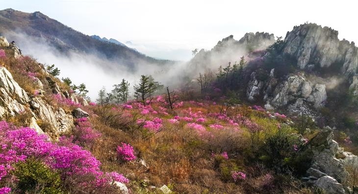 강진 주작산 휴양림서 3일 살기 해 볼까