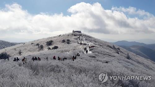 태백 등 강원 3곳 대설주의보