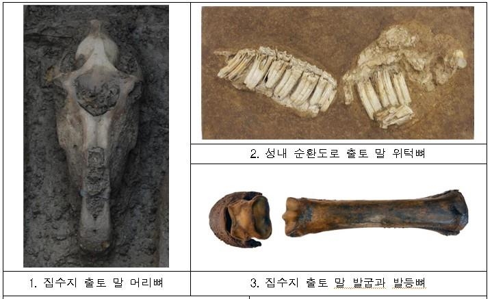 한성백제박물관, 몽촌토성 출토 '동물 뼈' 분석 나서