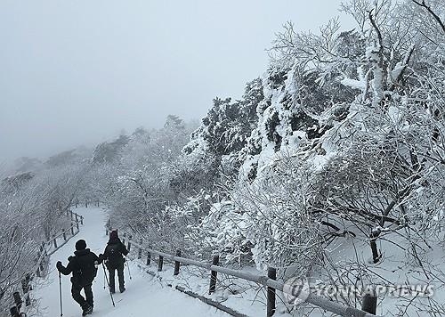 '가는 겨울 아쉬워' 흐린 날씨에도 전국 유원지·축제장 북적