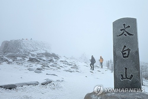 태백산 눈축제 58만5천명 방문…함박눈 때맞춰 '펑펑'