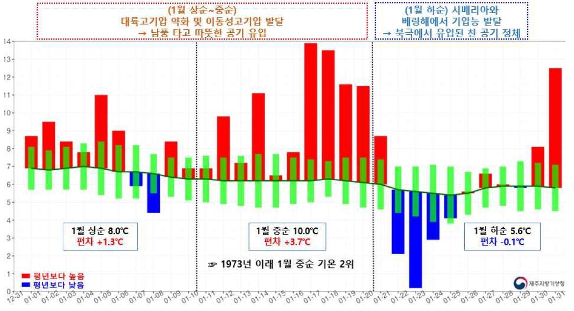 역대 4번째로 따뜻했던 제주도의 1월…매화도 일찍 펴