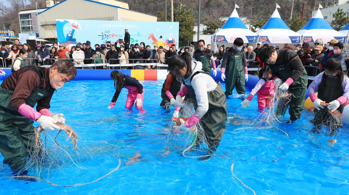 "속 꽉찬 대게와 붉은대게 맛보러 오세요"…울진서 22~25일 축제