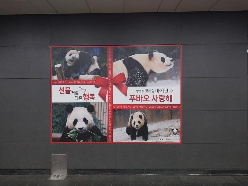 '중국 가서도 행복하길'…푸바오 팬들, 홍대입구역에 광고 선물