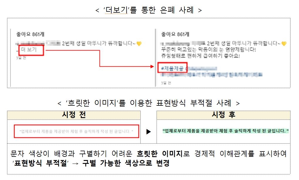 지난해 SNS '뒷광고' 의심 게시물 2만5천건 적발…1위는 인스타