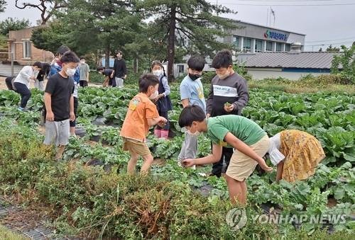 전북 농촌유학생 126명, 24개 학교서 생태친화교육…매년 증가