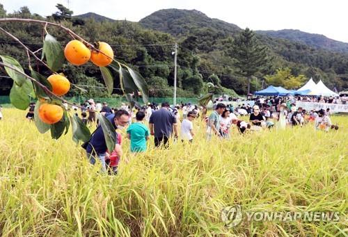 '이색 먹거리 가득'…완주 와일드&로컬푸드축제 10월 초 개막