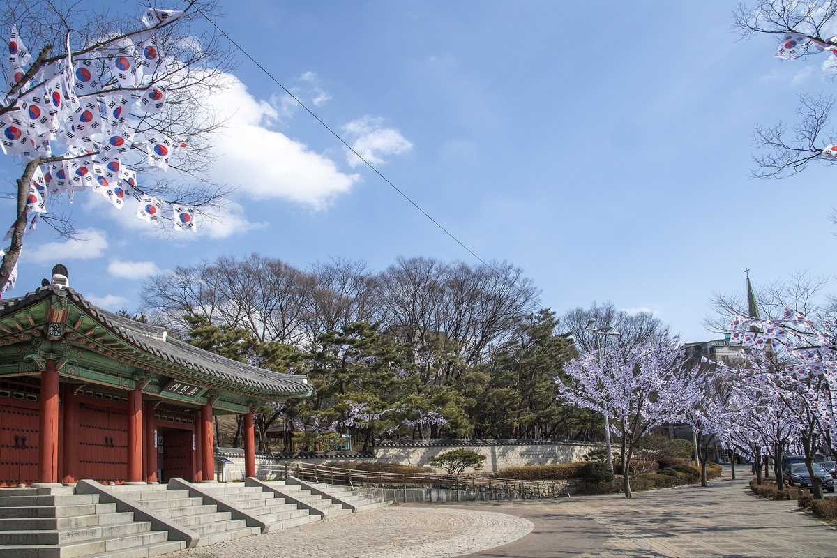 '나무에 태극기꽃'…용산구 3.1절 효창공원에 태극기거리