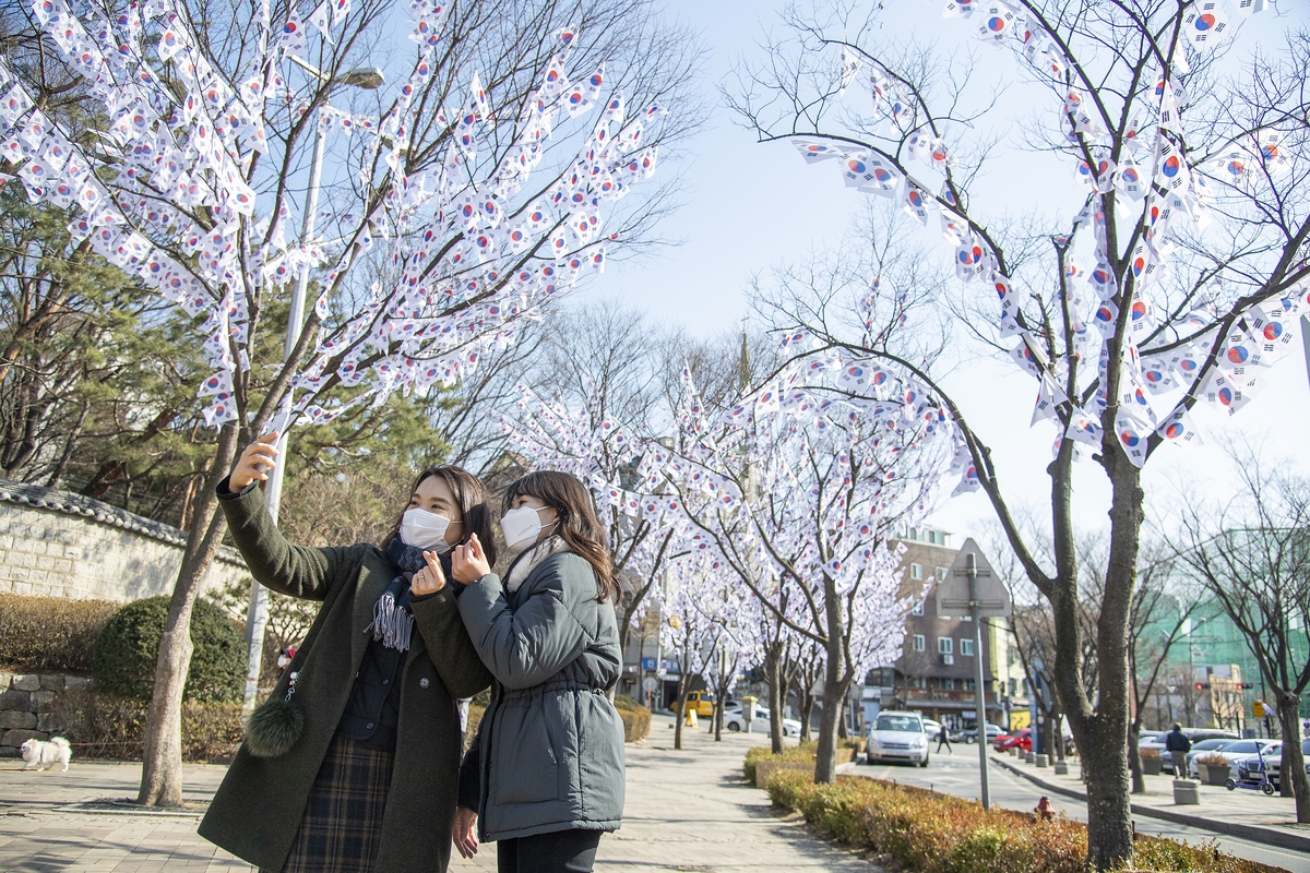 '나무에 태극기꽃'…용산구 3.1절 효창공원에 태극기거리