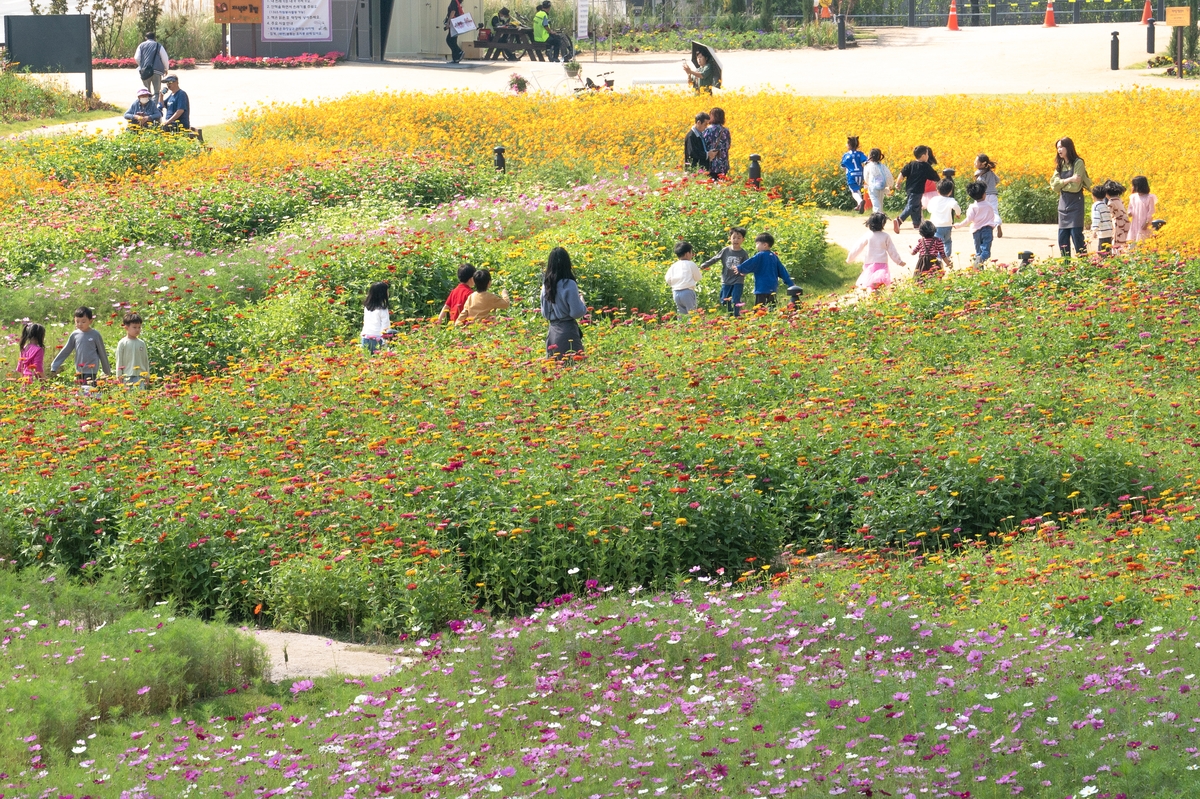 "꽃의 도시" 동대문구 녹지 늘린다…'5분 정원 사업' 추진