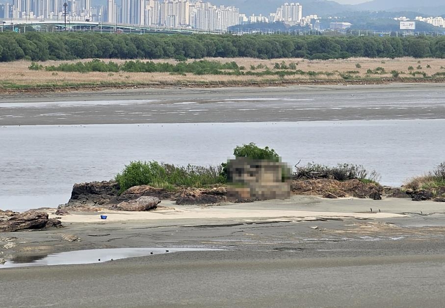 바다 아닌 한강에도 '독도' 있다…공식명칭 지정 추진