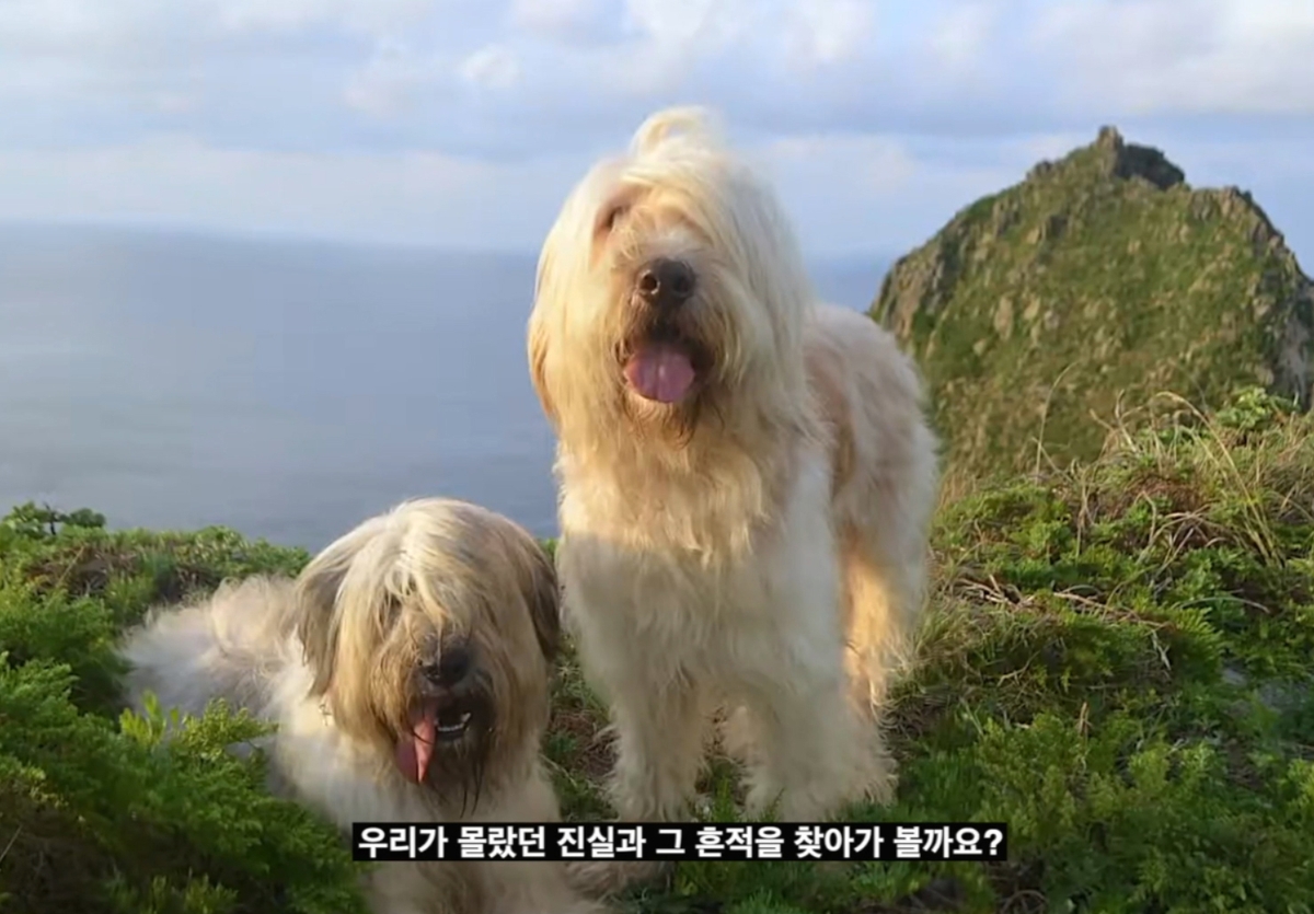 김남길-서경덕, 삼일절 맞아 '독도 지킴이' 삽살개 알린다