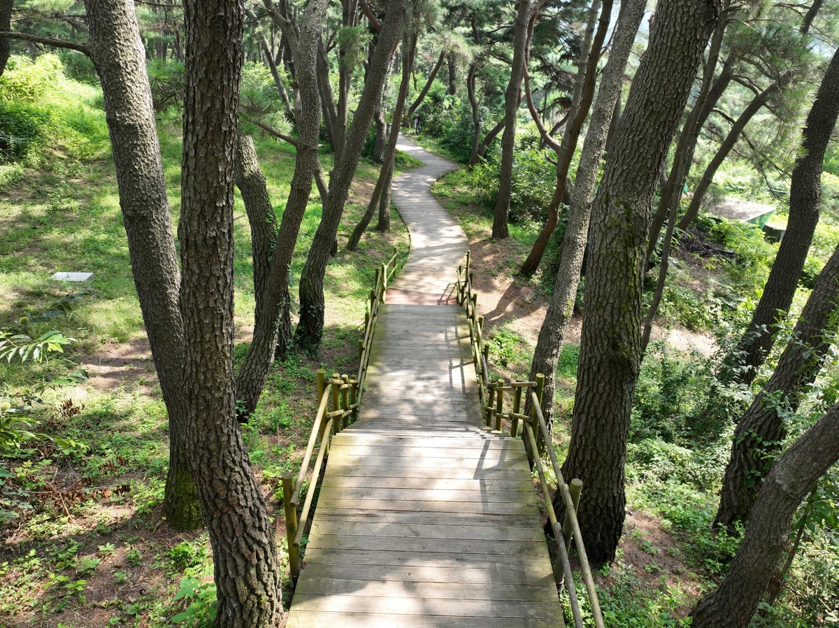 경주 선덕여왕릉 답사길 편해진다…계단 대신 경사로 설치